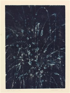 Image description is not available for 2013.058